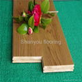 Parquet bamboo flooring 2