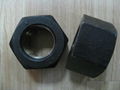 Heavy Hex Nut (A194 2H 2HM) 1