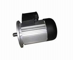 Brake Motor