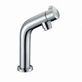 Single Cold Faucet CH8002 1