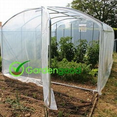 Tunnel Greenhouse with door