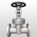 DIN Gate valve