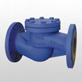 DIN Check Valve