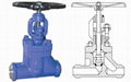 DIN Forged Steel Globe Valve 1