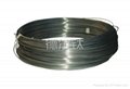 titanium wire 2