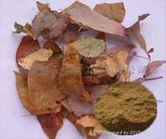 Epimedium Extract