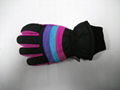 Ski Glove 1