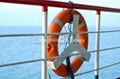 marine life buoy