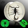 Acrylic Insect Ear Plug Body Jewelry