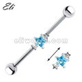 Industrial Barbell Piercing 2