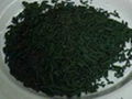 Spirulina