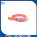 PVC Collar De Perro