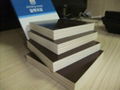 18mm waterproof plywood sheet 4