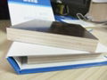 18mm waterproof plywood sheet 5