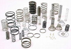 stainless steel spring