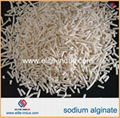 food additives sodium alginate