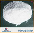 food preservatives methyl paraben