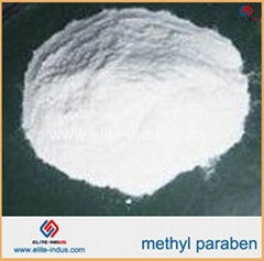 food preservatives methyl paraben