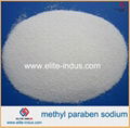 food additives methyl paraben sodium