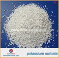 food preservatives potassium sorbate