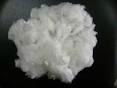 Polyester Staple Fiber