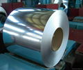 GI galvanized steel coil with high quality good price 1