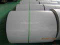 Prepainted steel coil PPGI white color high quality 1