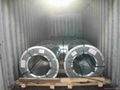 Prepainted steel coil PPGI white color high quality 4