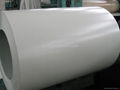 High quality PPGI white color good price