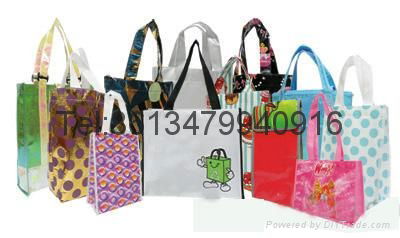Customize Eco-friendly Non woven  Bag with low price