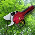 Electric Pruning Shear 1