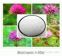 High Quality Chickpea Extract /Biochanin A 98%