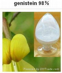 Pure Natural Extracted 98% HPLC Genistein Powder 