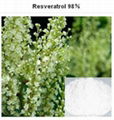 High quanlity and lowest price of Resveratrol:resveratrol 98% 1