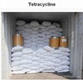 Tetracycline powder CAS No.:64-75-5