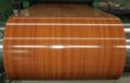 Wood pattern steel coil with high quality and good price 1