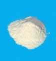 Carboxymethyl cellulose