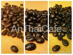 Arabica roasted cofee beans