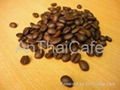 Arabica roasted cofee beans 2