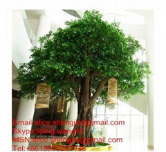 Artificial Banyan Tree