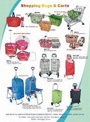 Shopping Bags and Carts