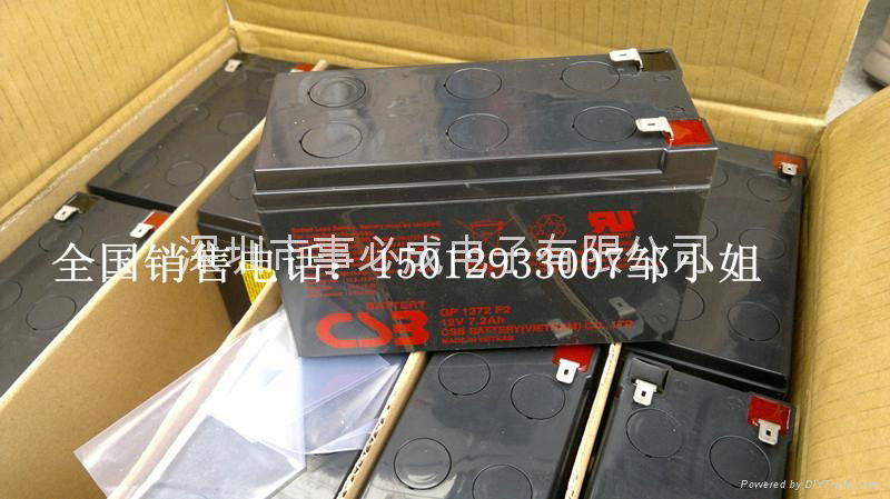 台湾品牌CSB电池 2