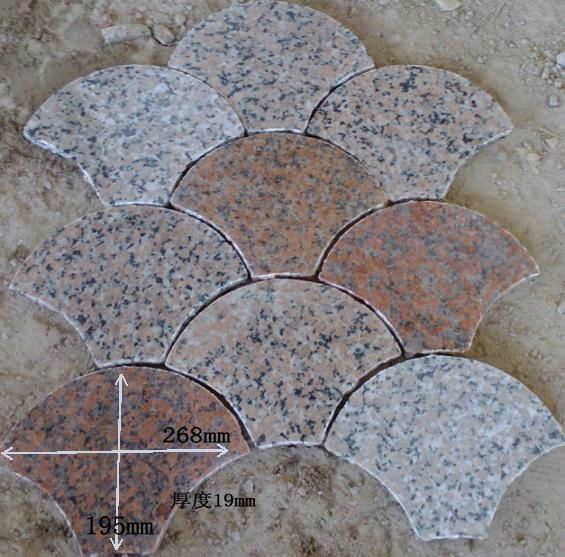 Stone granite Scallop in Shell shaped background wall stone paving stone