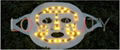 LED Facial Mask