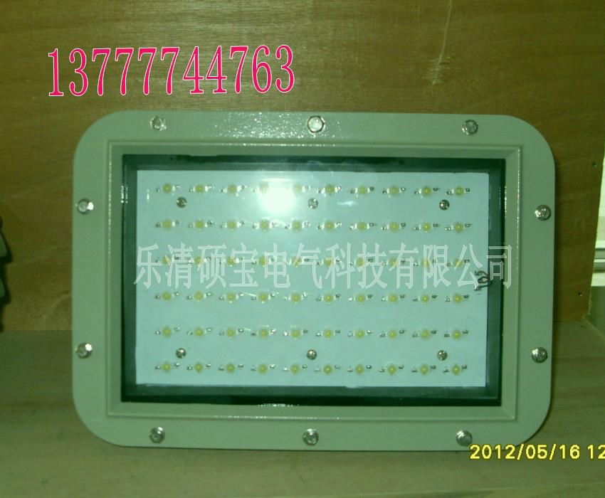 20W-80WLED防爆泛光灯 4