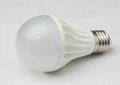 3W LED Bulb 1