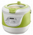 Smart and Healthy Cooker 1