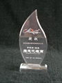 Acrylic Award Perspex Trophy with Laser Engraved LOGO 2