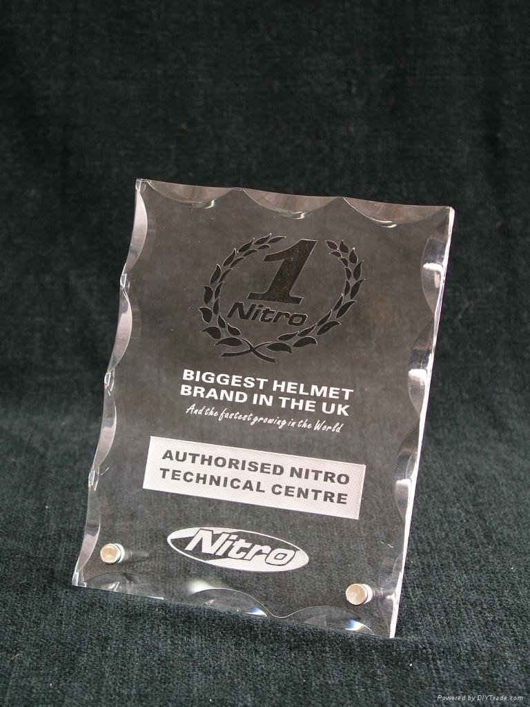 Acrylic Award Perspex Trophy with Laser Engraved LOGO 5