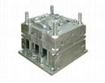 injection mould